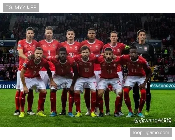 瑞士青年队夺冠，展现卓越实力与团队精神