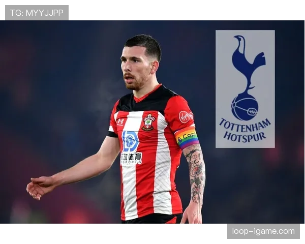 霍伊别尔攻防能力 霍伊别尔攻防能力